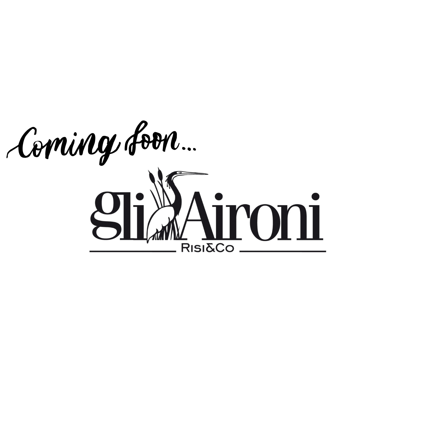 Gli Aironi