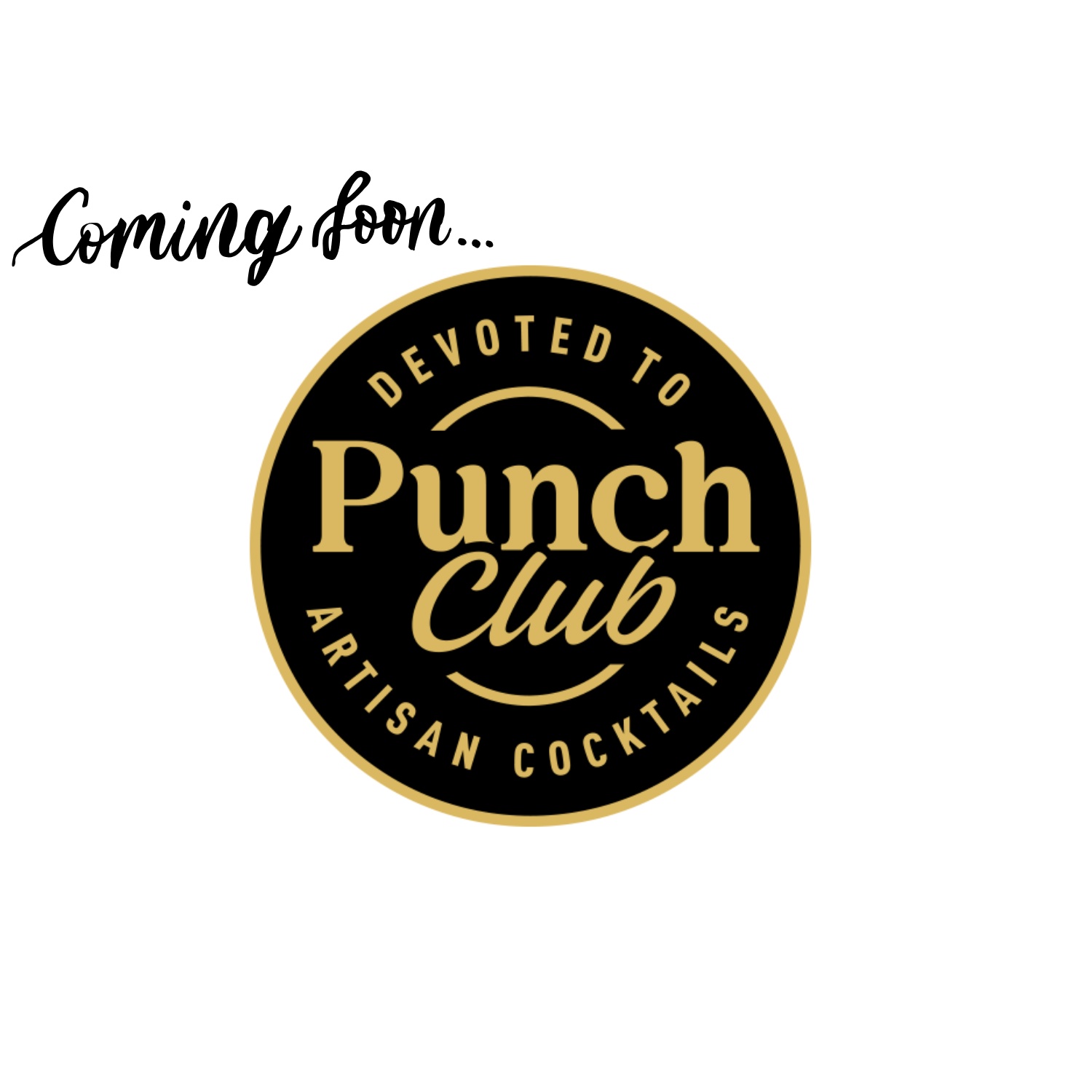 Punch Club
